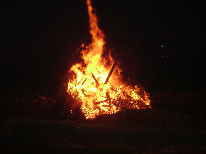 Holika Dahan - Public